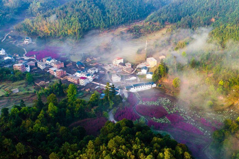 宁化上坪村